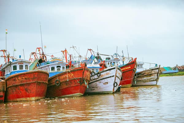 Chickkamangaluru, Mangalore