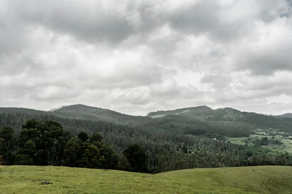 Wayanad